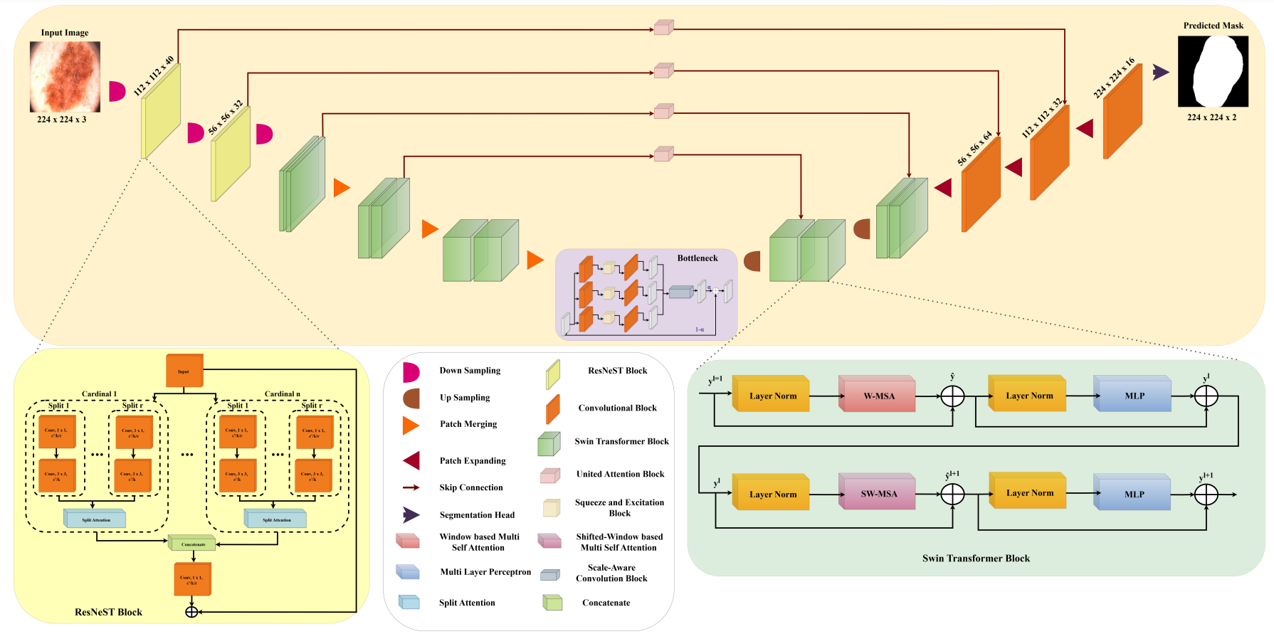 Publication 7 Image
